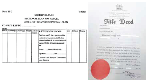 Sectional Title Survey